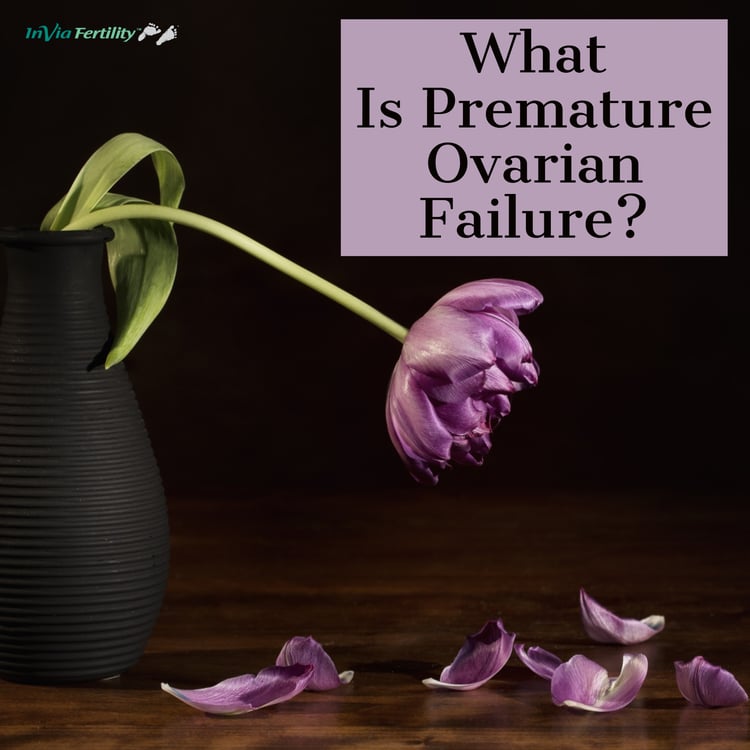 Top 10 facts about the Causes of Premature Ovarian Failure